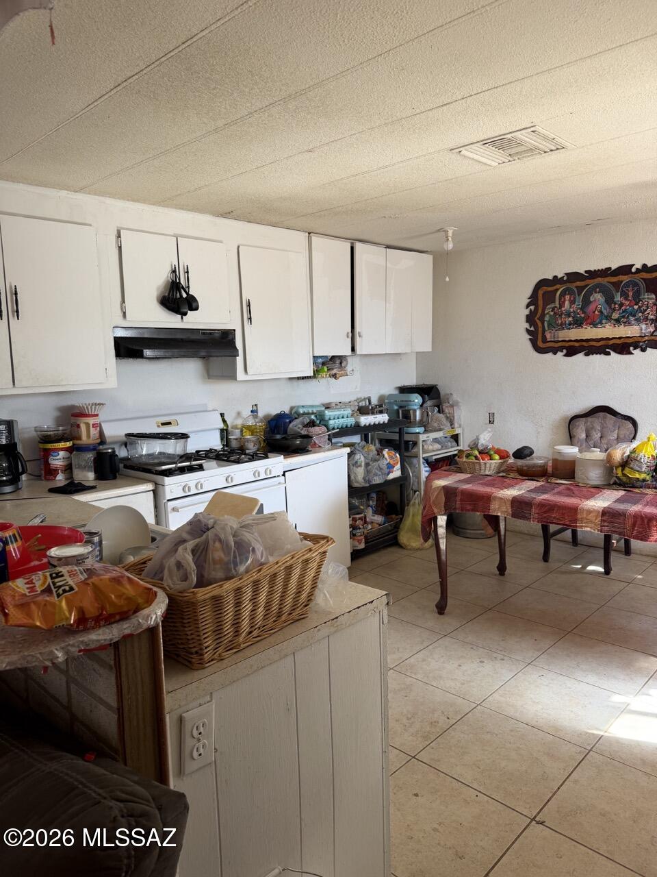 5565 South Marstellar Road Tucson, AZ 85735 - Photo 5 of 10