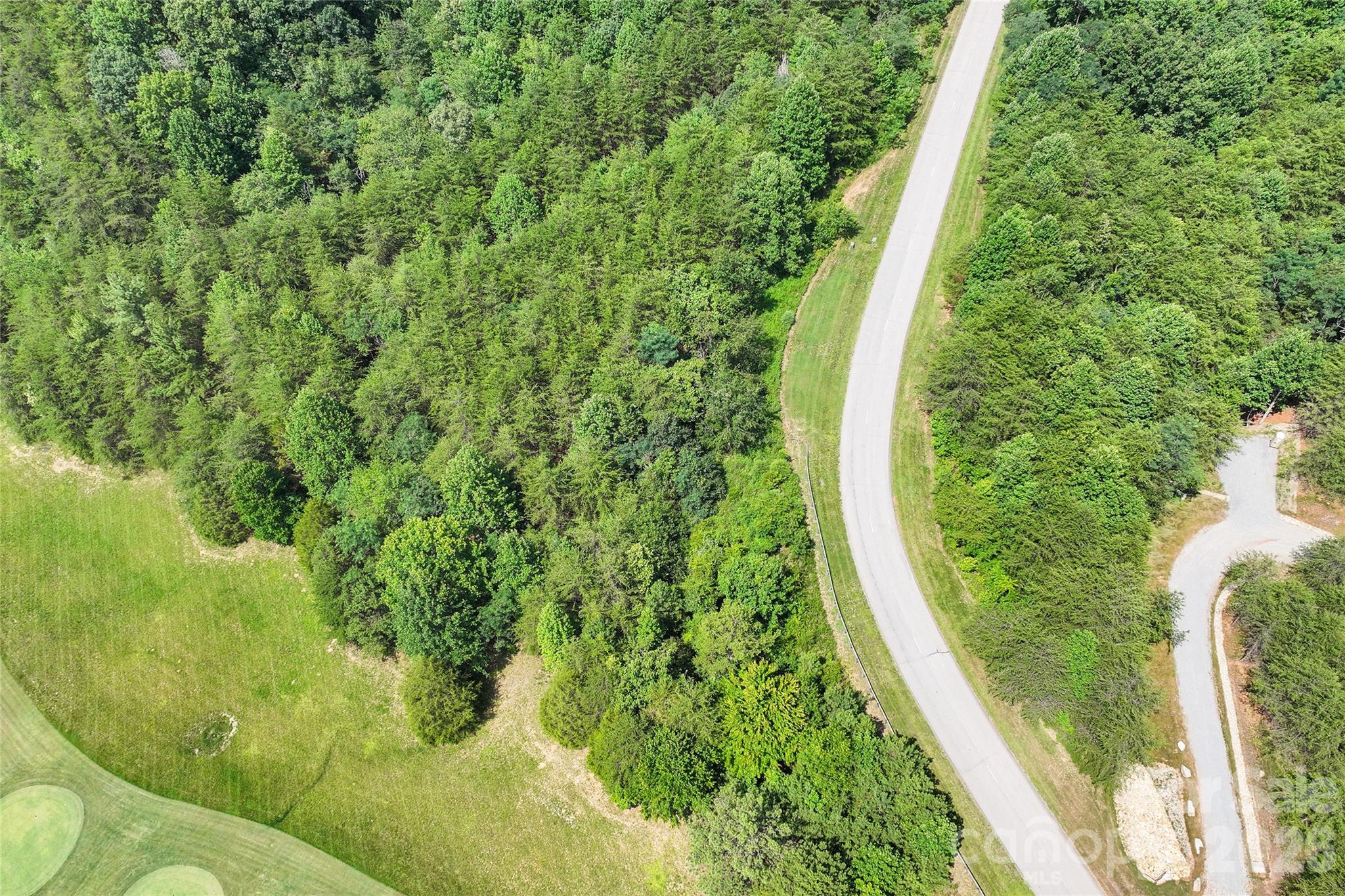 1361 Deep Gap Farm Road East Mill Spring, NC 28756 - Photo 9 of 23