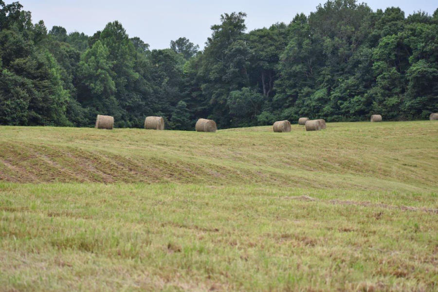 859 Rumbo Road Jamestown, KY 42629 - Photo 163 of 186 163