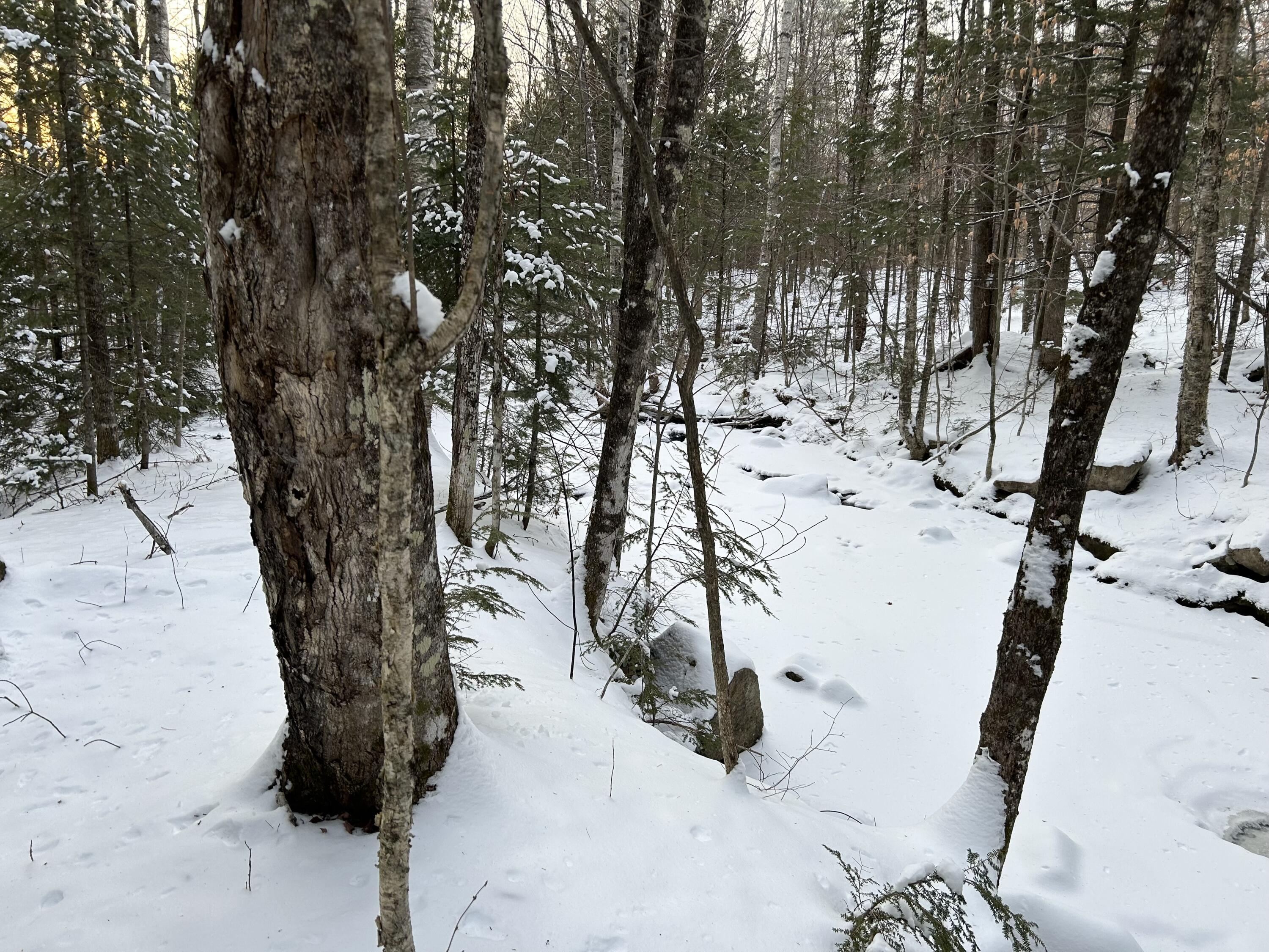 M5-l18 Bog Road New Portland, ME 04961 - Photo 14 of 22 Clark Brook