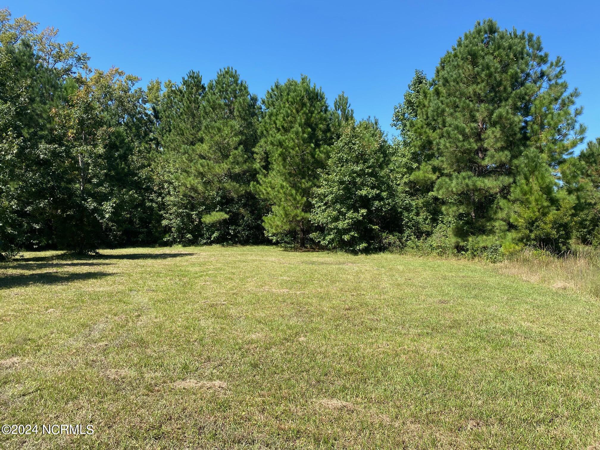 880 Smith Farm Road Havelock, NC 28532 - Photo 3 of 13 Level & Cleared