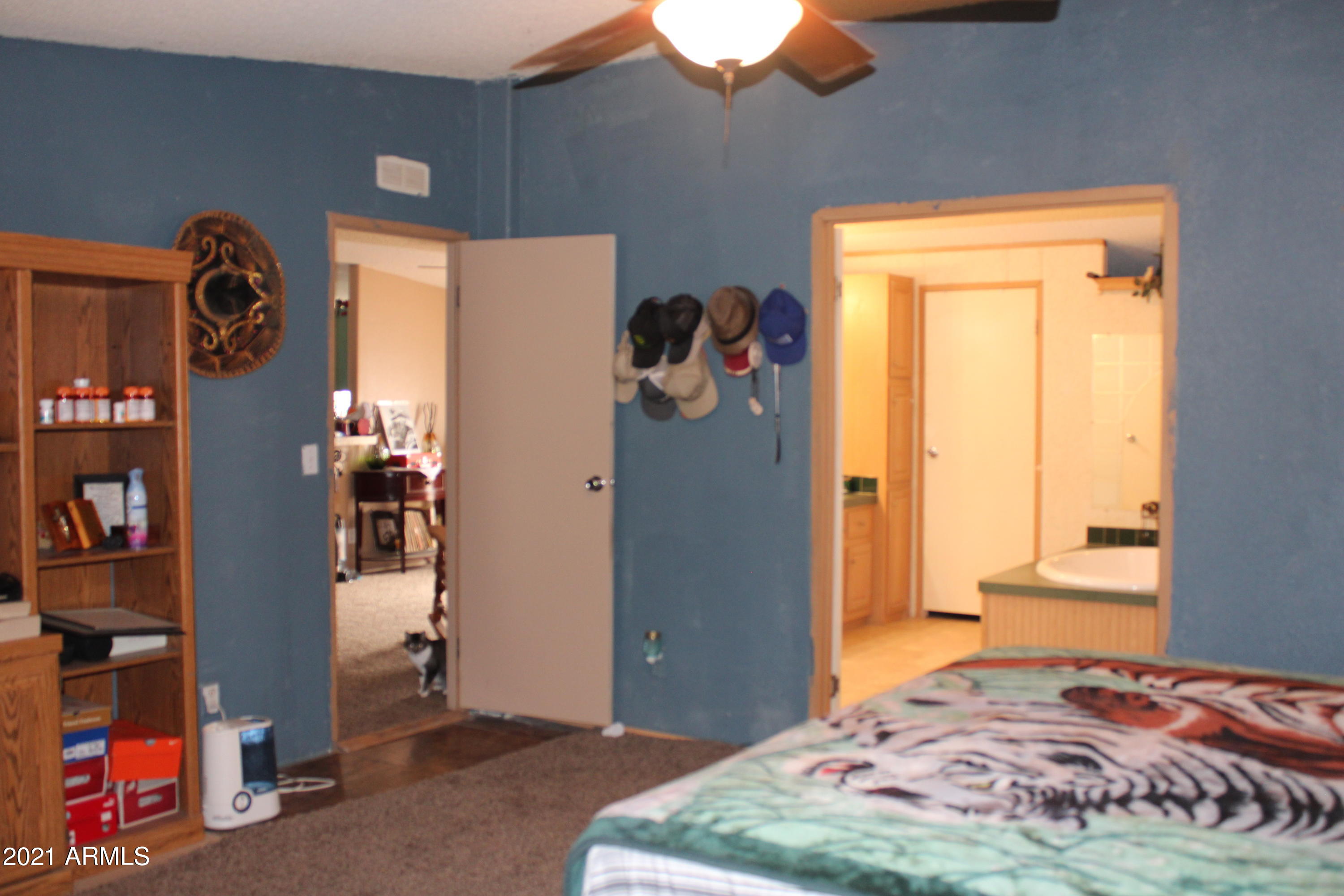 33769 West Siesta Road Stanfield, AZ 85172 - Photo 17 of 48 IMG_3164