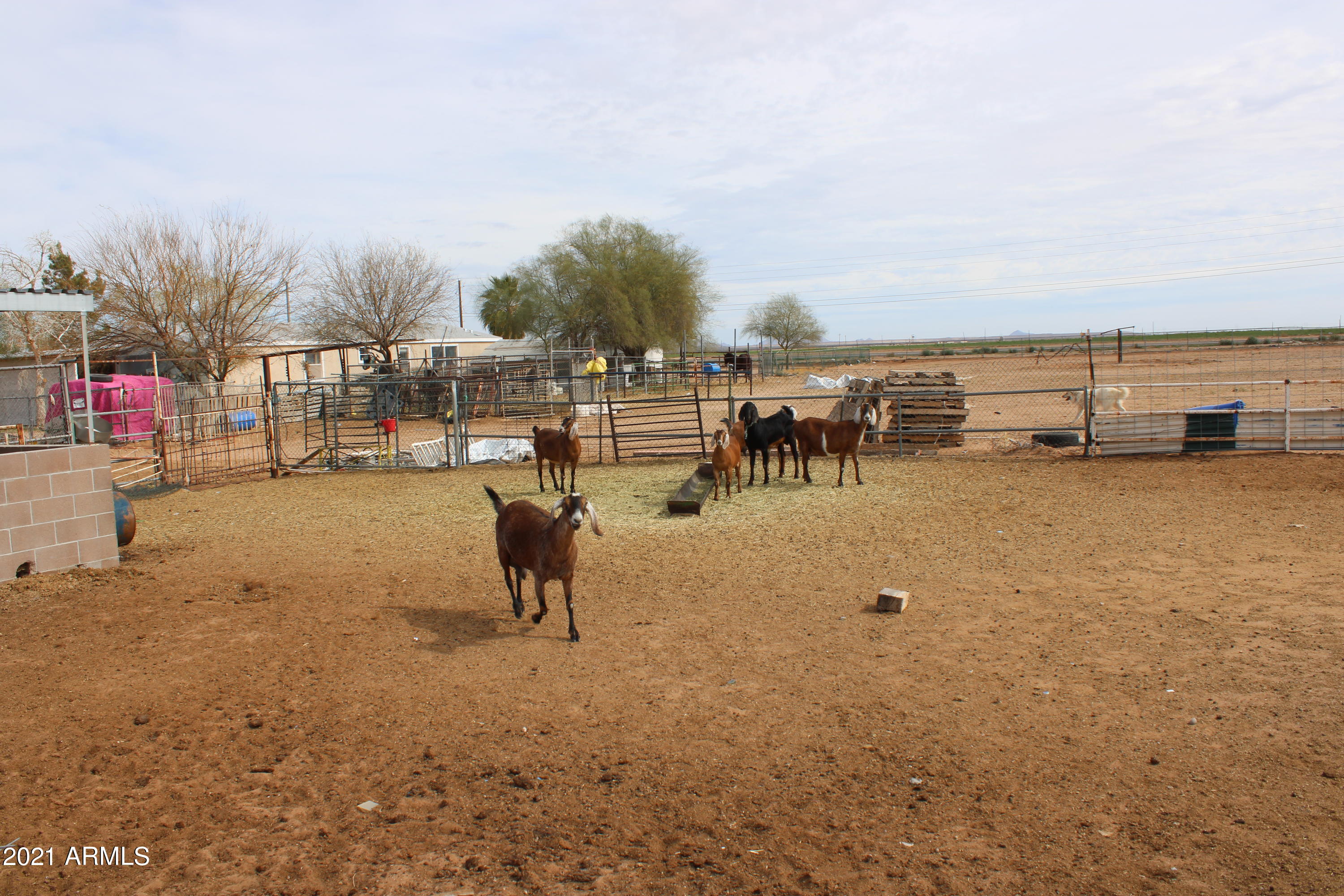 33769 West Siesta Road Stanfield, AZ 85172 - Photo 44 of 48 IMG_3102