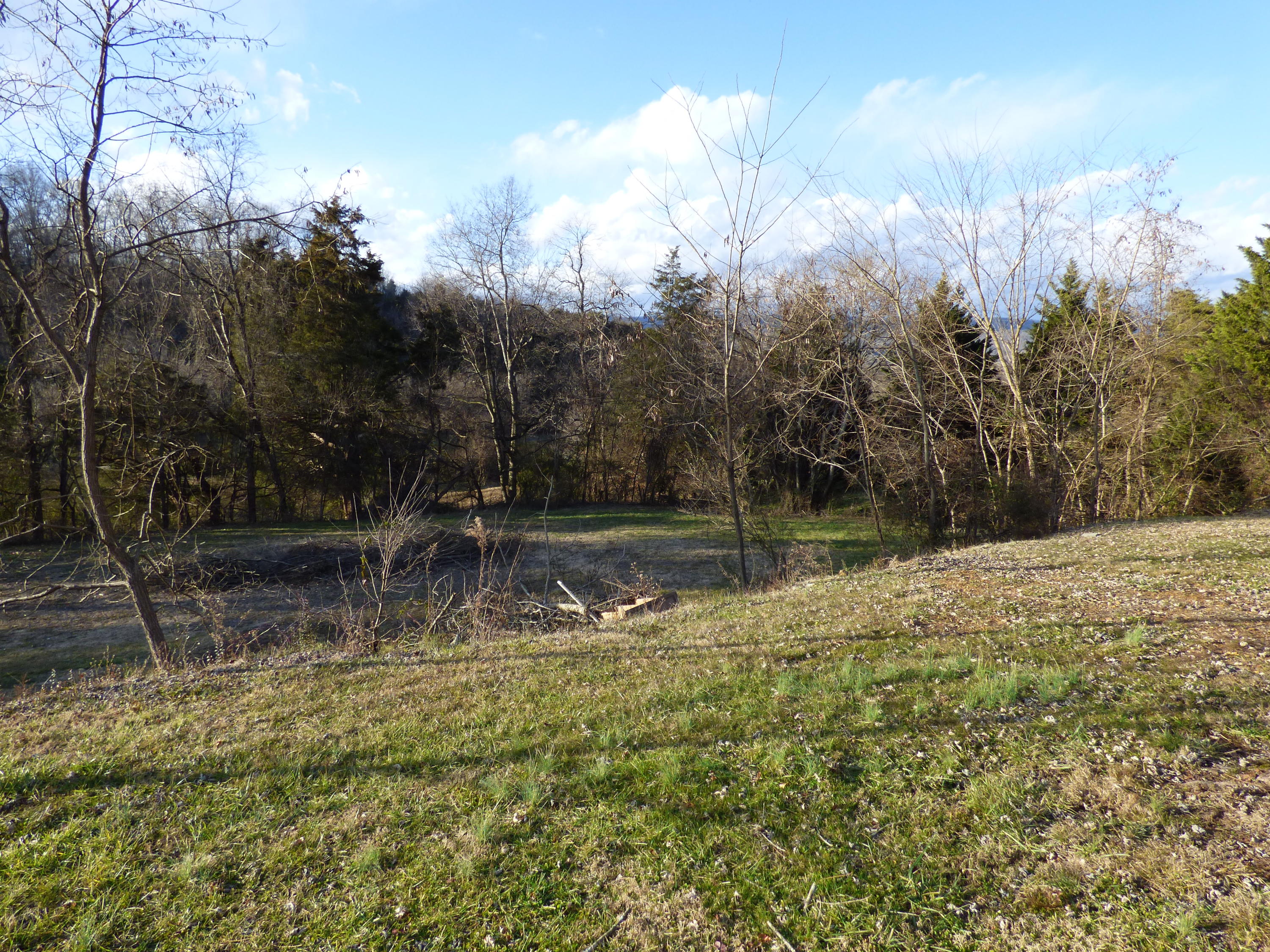 116 Proffitt Ridge Road Mooresburg, TN 37811 - Photo 24 of 32 P1210100
