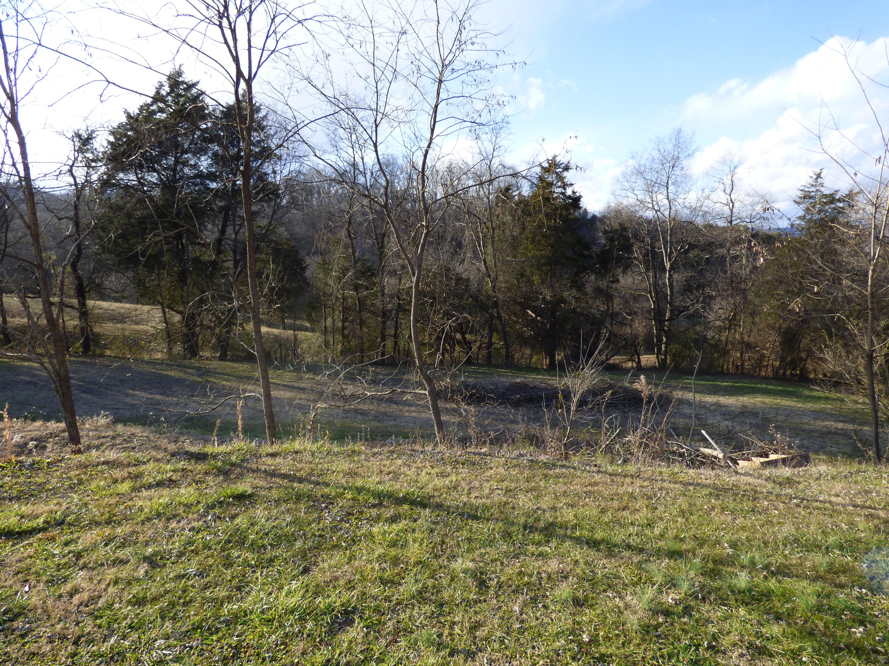 116 Proffitt Ridge Road Mooresburg, TN 37811 - Photo 25 of 32 P1210101