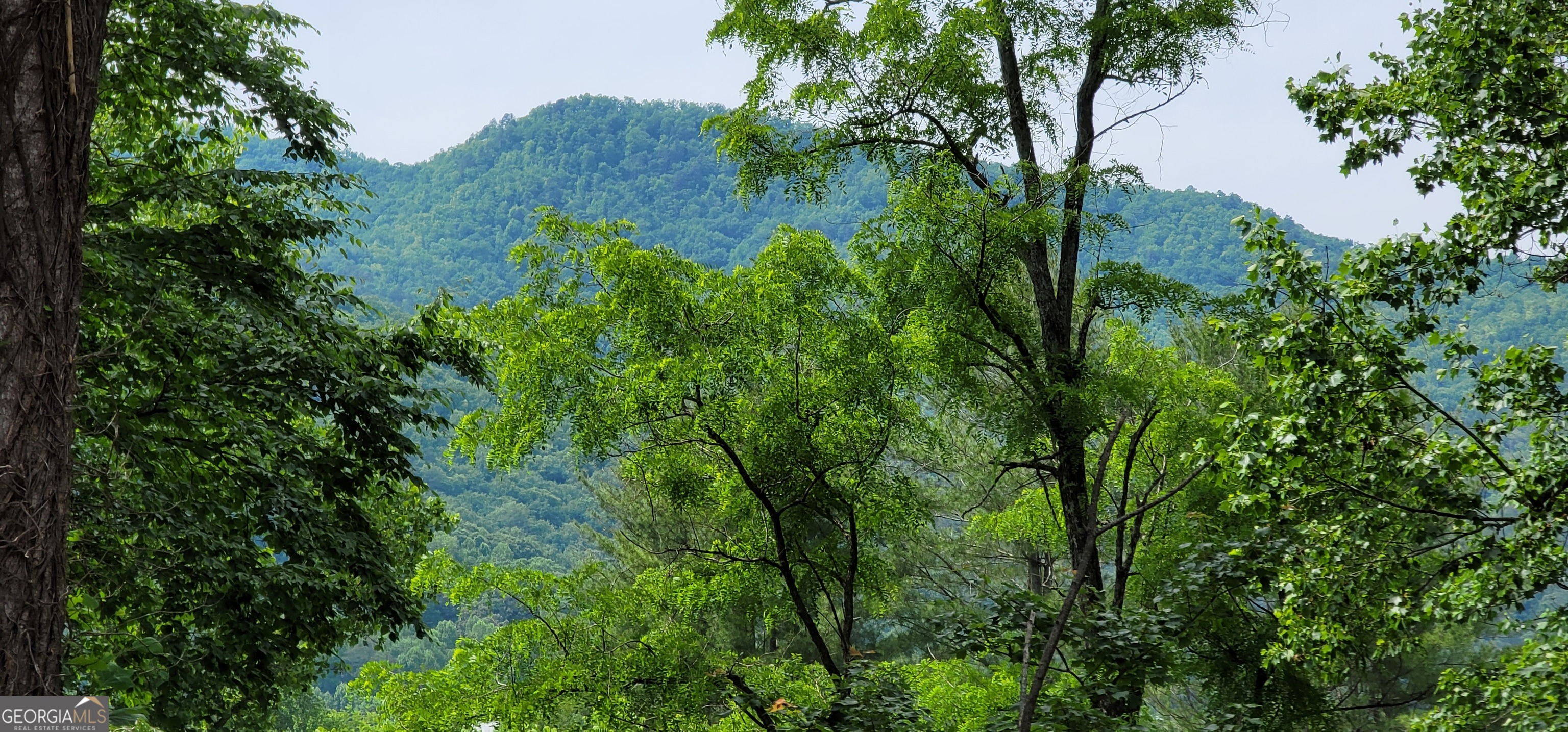153 Coleman Heights Lane Rabun Gap, GA 30568 - Photo 13 of 57 an aerial view of a house with a yard