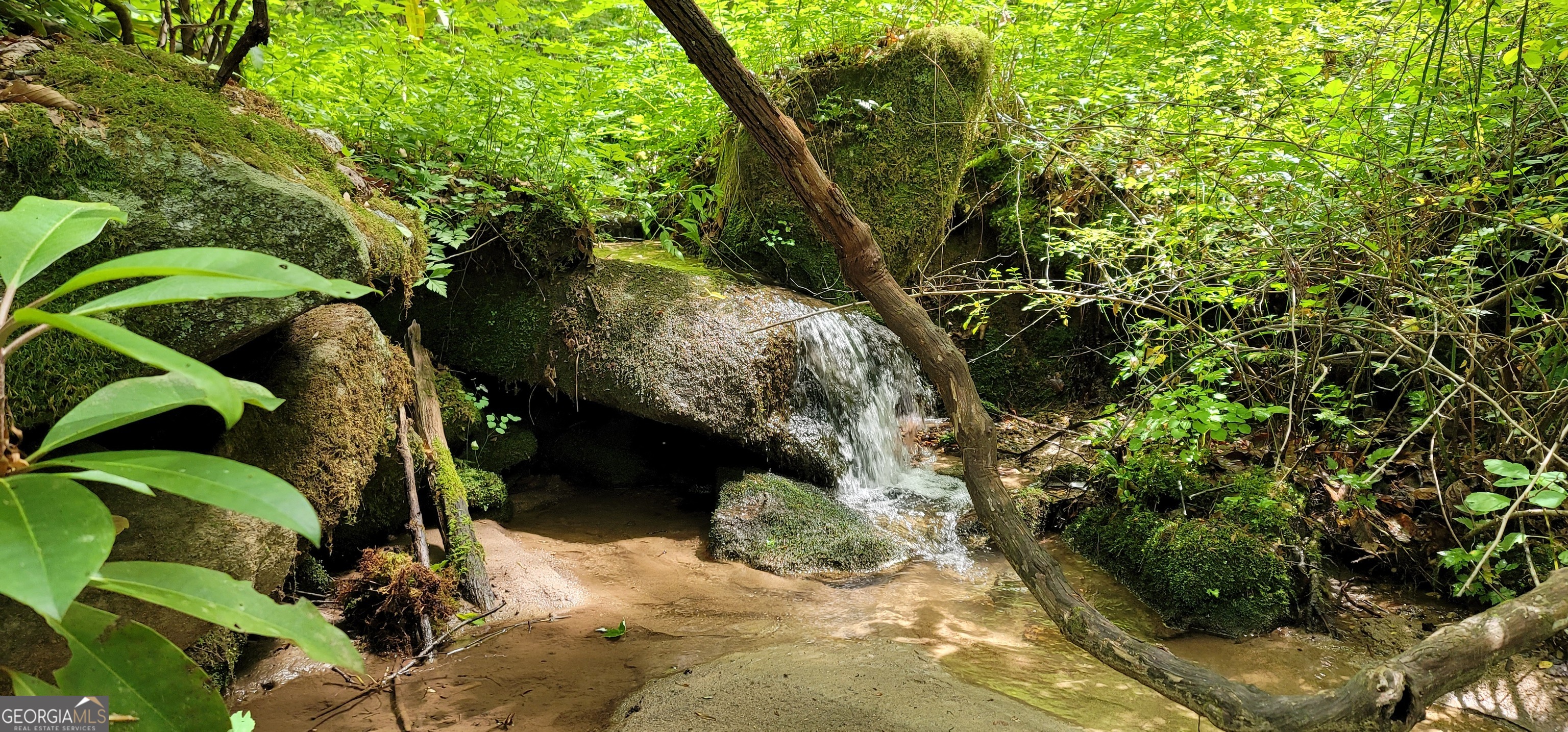 153 Coleman Heights Lane Rabun Gap, GA 30568 - Photo 14 of 57