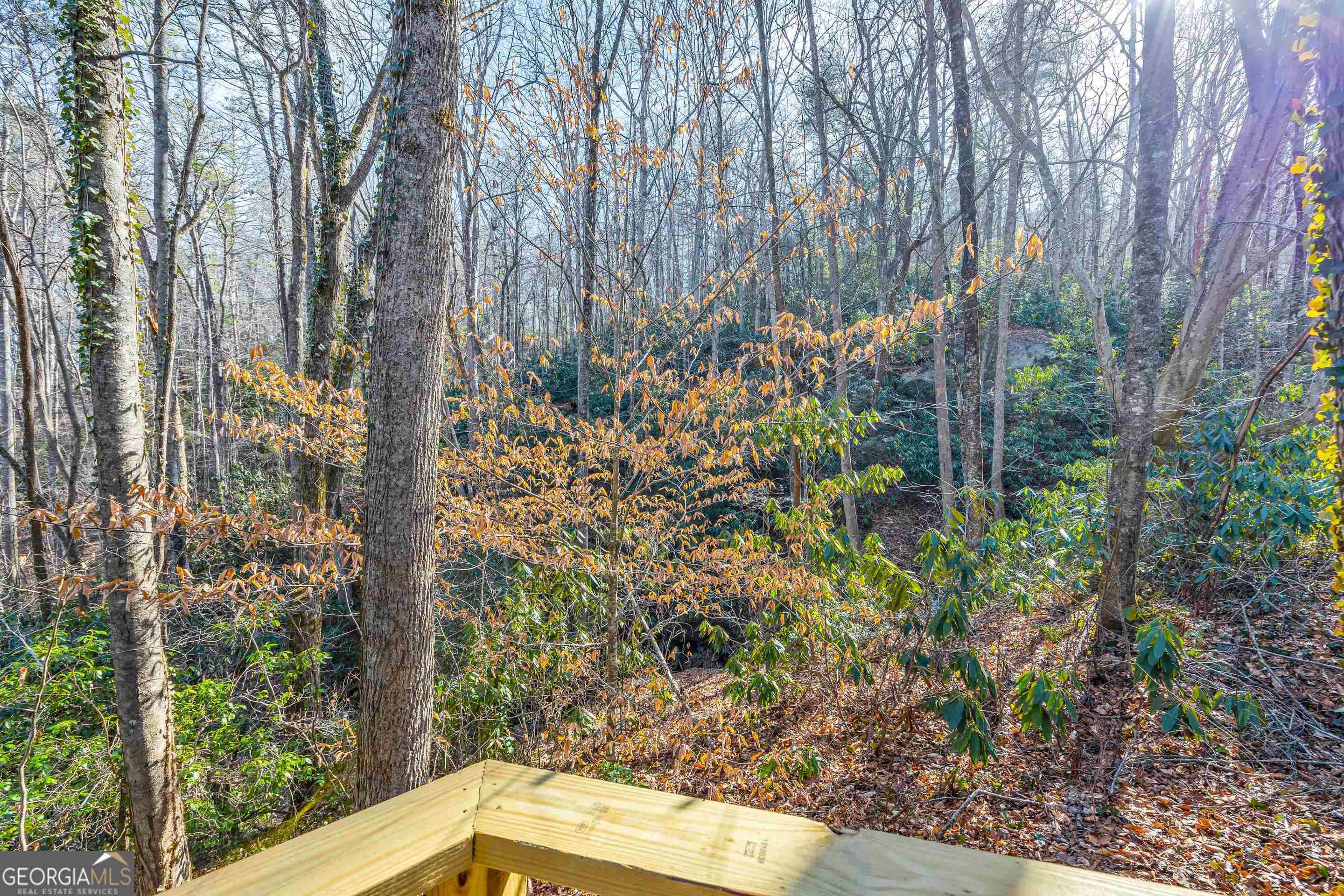 153 Coleman Heights Lane Rabun Gap, GA 30568 - Photo 44 of 57