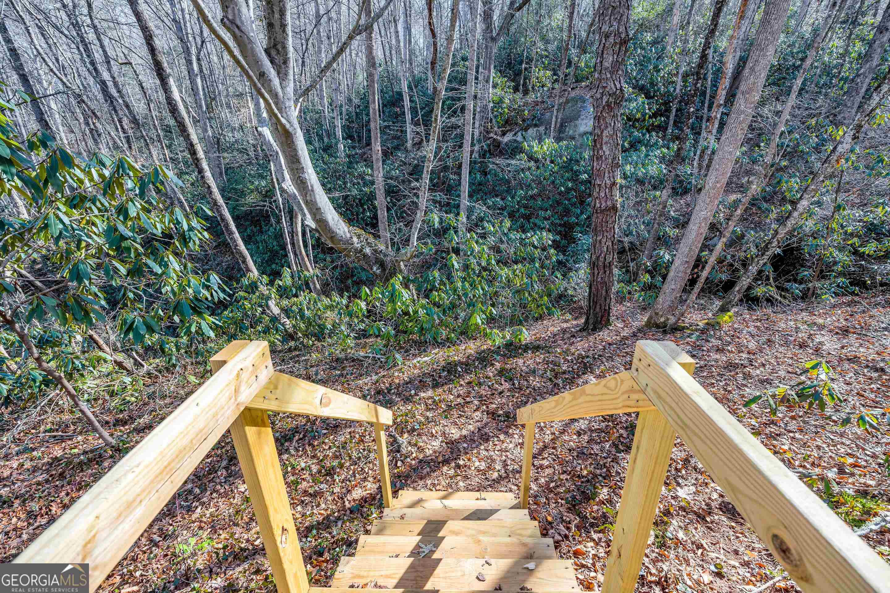 153 Coleman Heights Lane Rabun Gap, GA 30568 - Photo 45 of 57 a view of a yard with plants and a bench