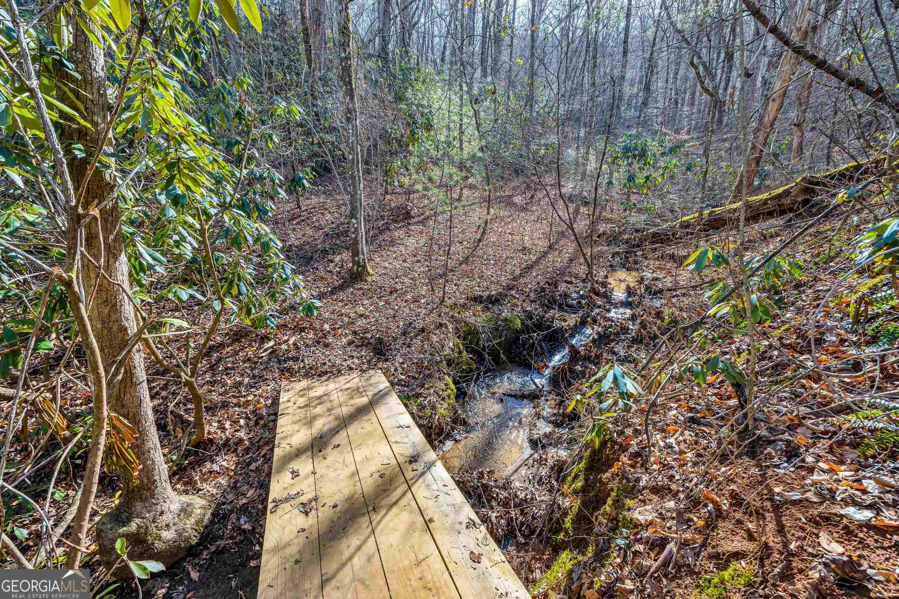 153 Coleman Heights Lane Rabun Gap, GA 30568 - Photo 48 of 57 a plant view in yard