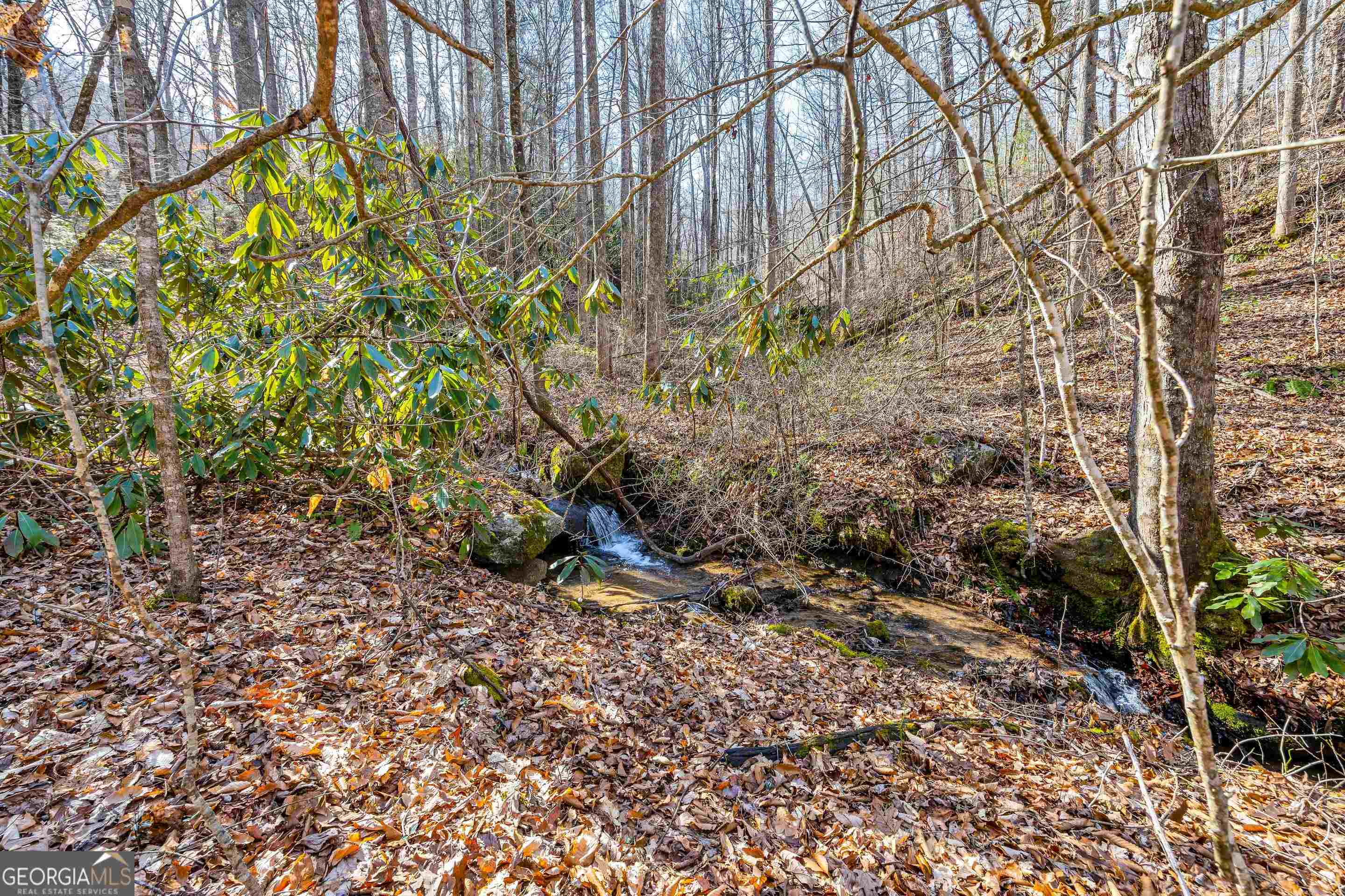 153 Coleman Heights Lane Rabun Gap, GA 30568 - Photo 53 of 57 a view of a yard with plants and trees