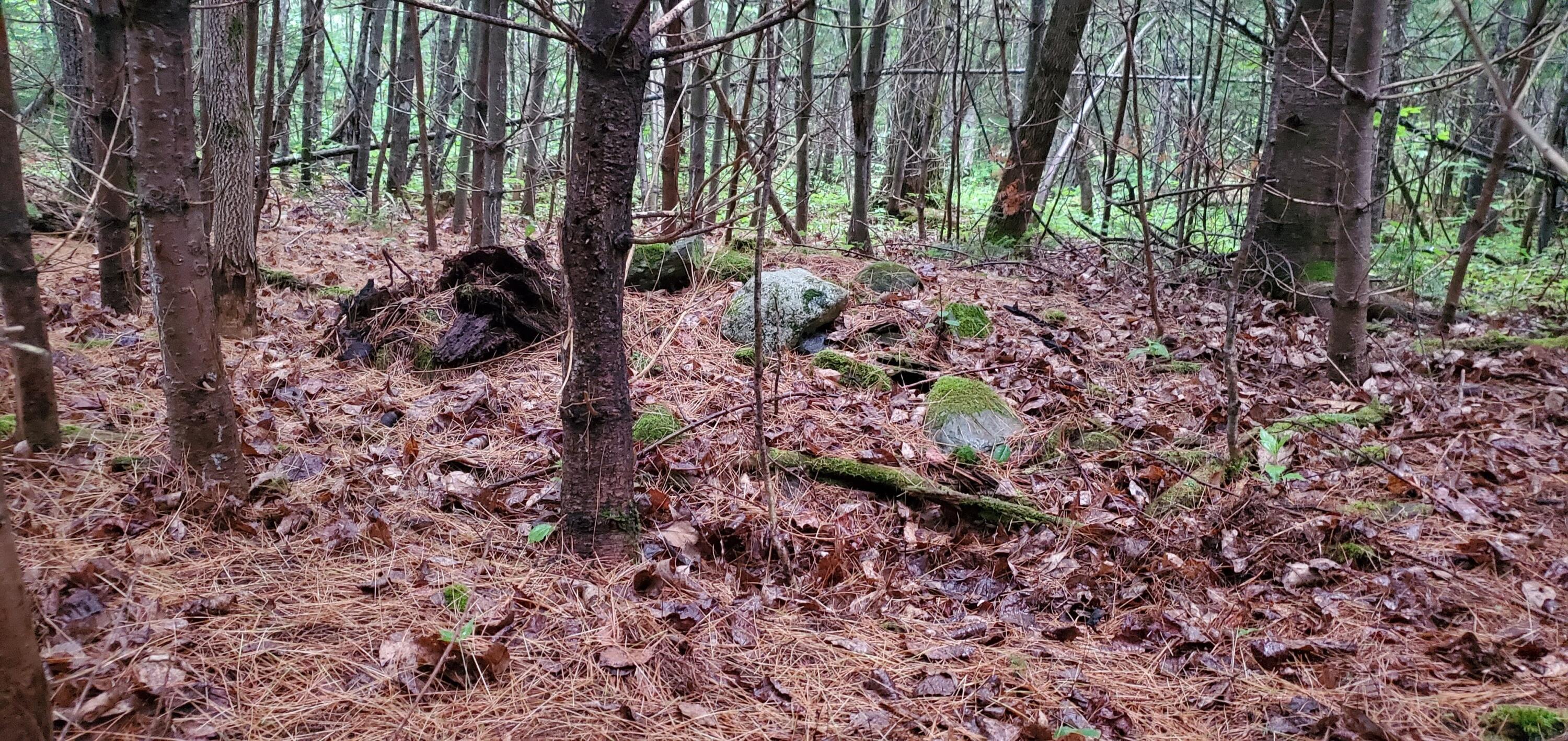 Lot 16-3a Cross Road Unity, ME 04988 - Photo 3 of 10 land 1