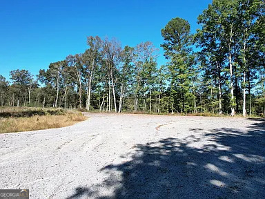 800 Hair Lake Road Summerville, GA 30747 - Photo 2 of 11 a view of a yard with plants and trees