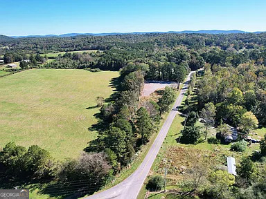 800 Hair Lake Road Summerville, GA 30747 - Photo 4 of 11 a view of lake and mountain
