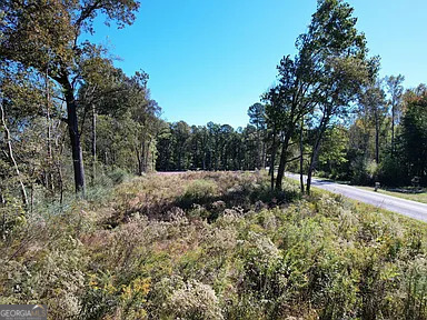 800 Hair Lake Road Summerville, GA 30747 - Photo 5 of 11 a view of a forest filled with trees