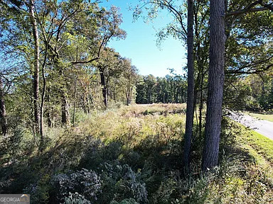 800 Hair Lake Road Summerville, GA 30747 - Photo 10 of 11 a view of a yard with large trees