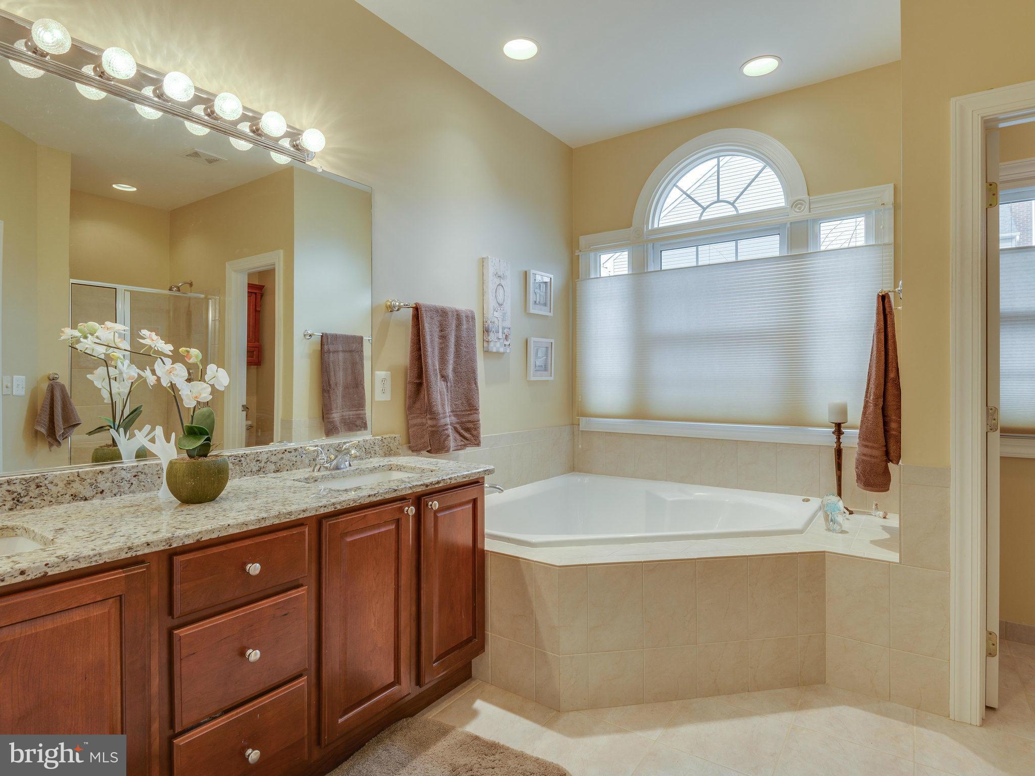22570 Forest Manor Drive Ashburn, VA 20148 - Photo 16 of 30 a bathroom with a granite countertop sink a large mirror and a bathtub
