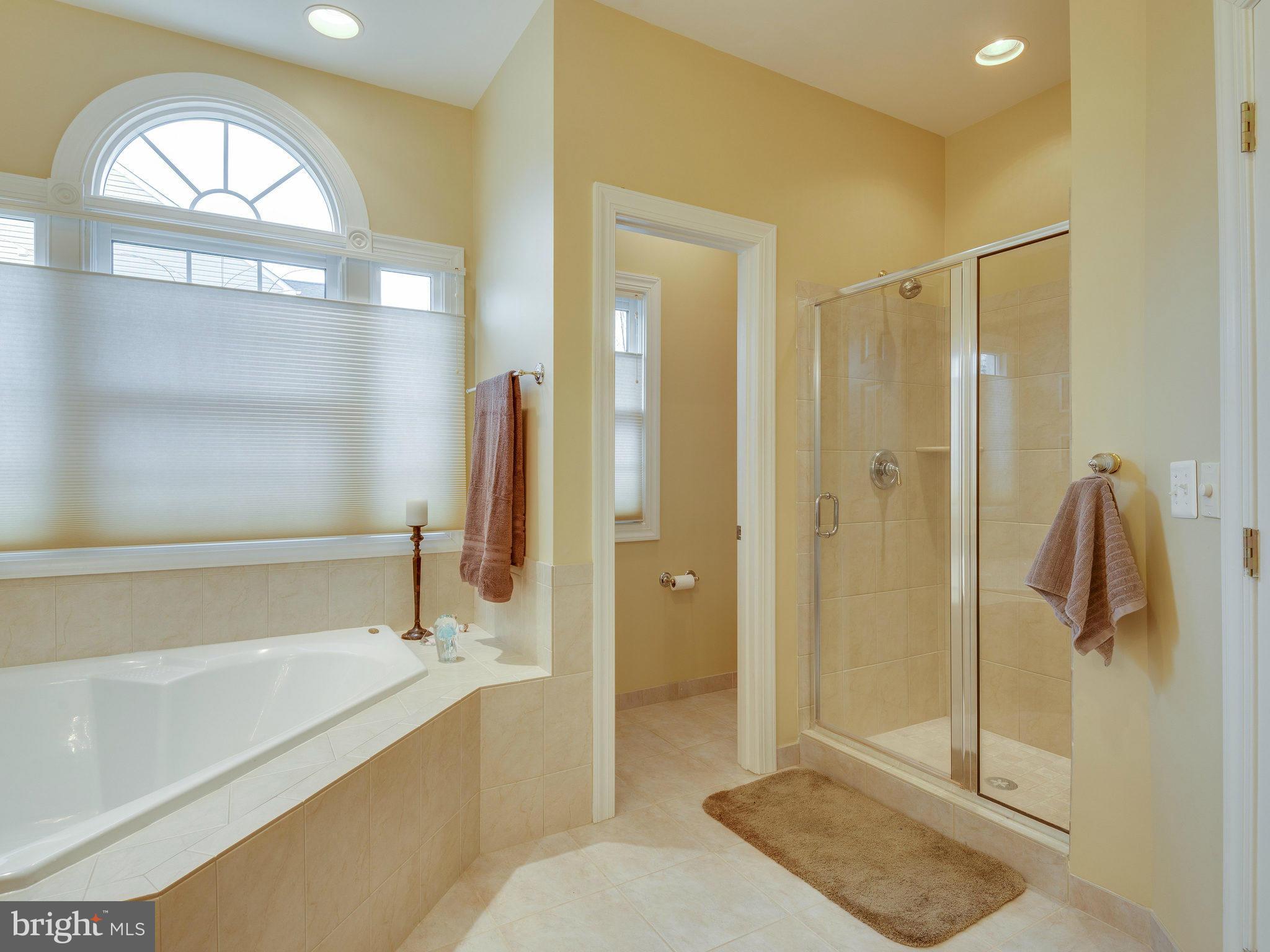 22570 Forest Manor Drive Ashburn, VA 20148 - Photo 17 of 30 a spacious bathroom with a shower a sink and a mirror