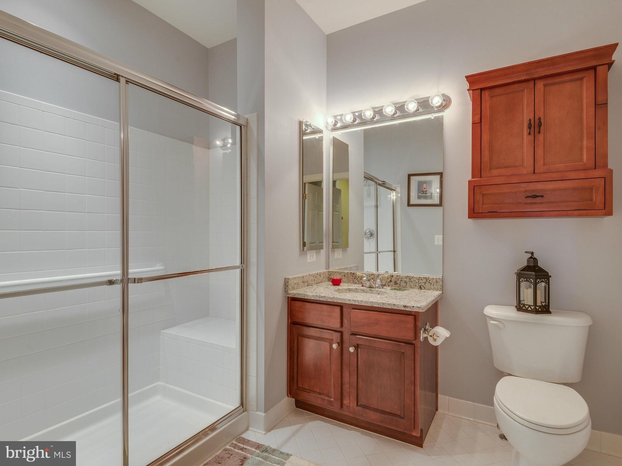 22570 Forest Manor Drive Ashburn, VA 20148 - Photo 18 of 30 a bathroom with a toilet a sink and mirror
