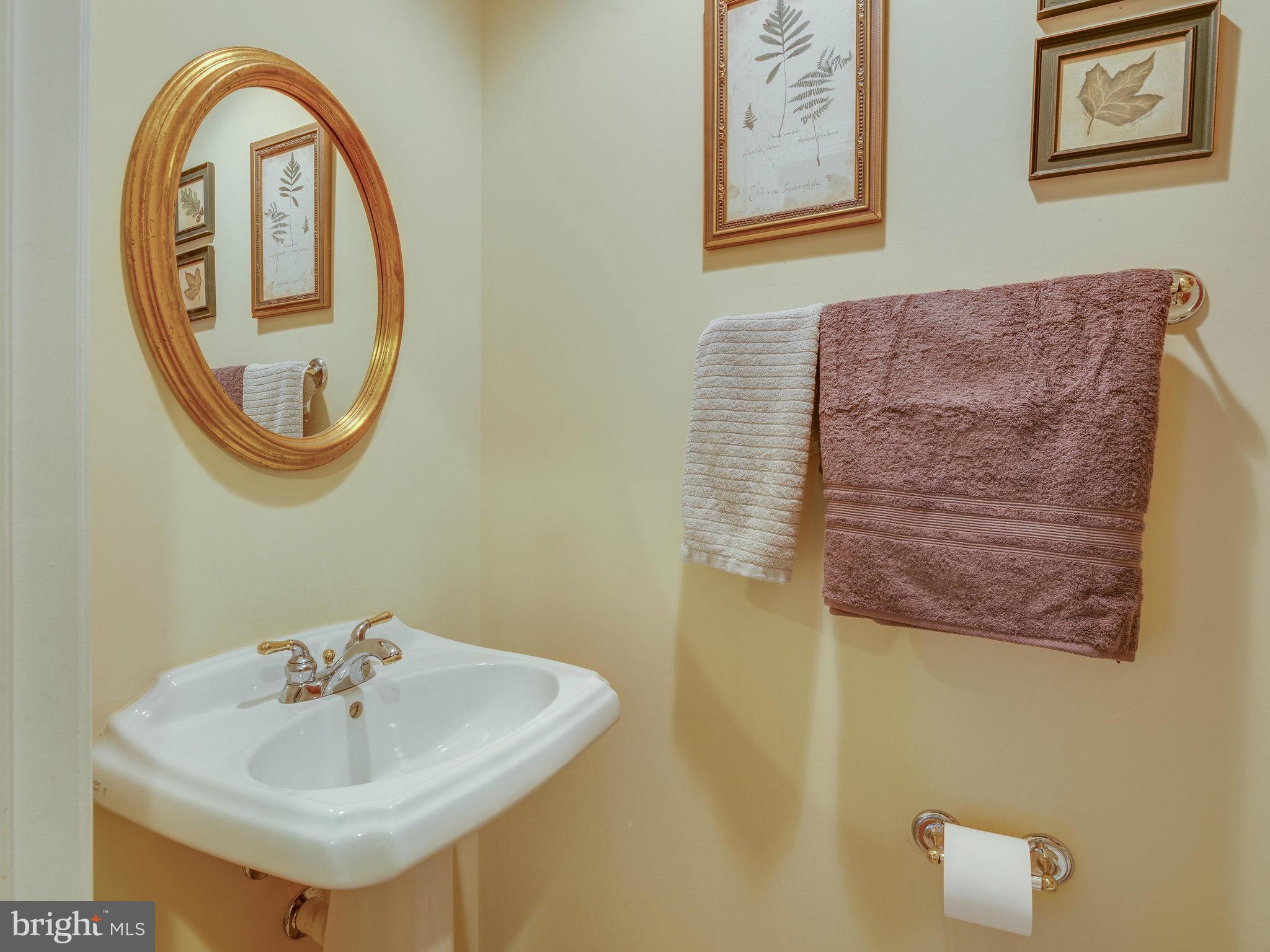 22570 Forest Manor Drive Ashburn, VA 20148 - Photo 19 of 30 a bathroom with a sink and a mirror