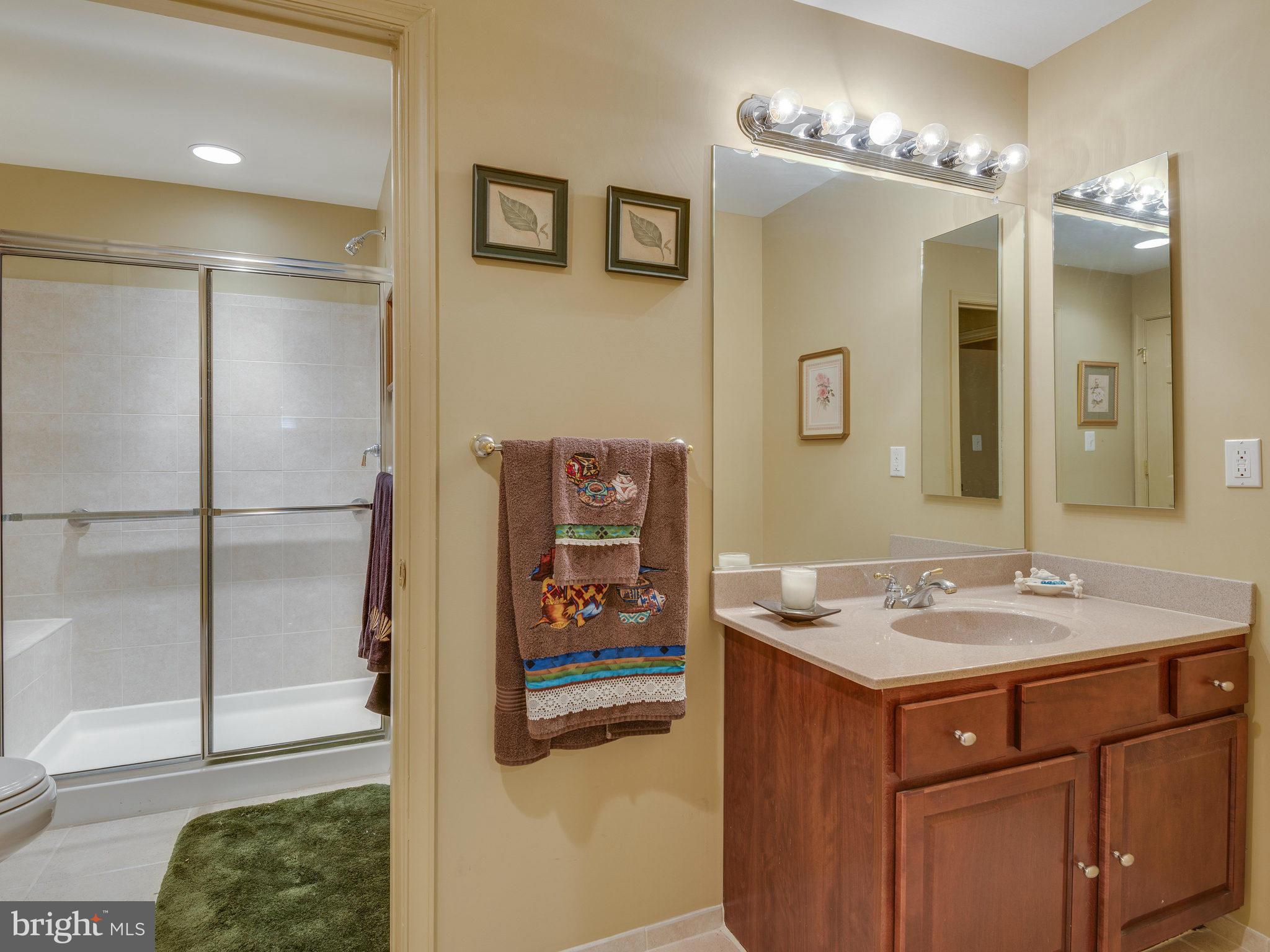22570 Forest Manor Drive Ashburn, VA 20148 - Photo 20 of 30 a bathroom with a sink and a mirror