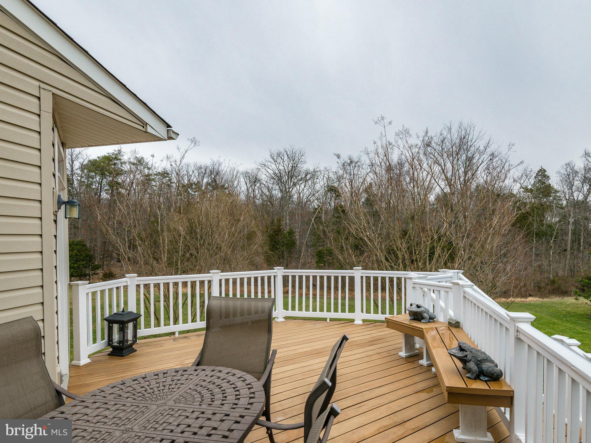 22570 Forest Manor Drive Ashburn, VA 20148 - Photo 29 of 30 a view of a chair and table on the deck