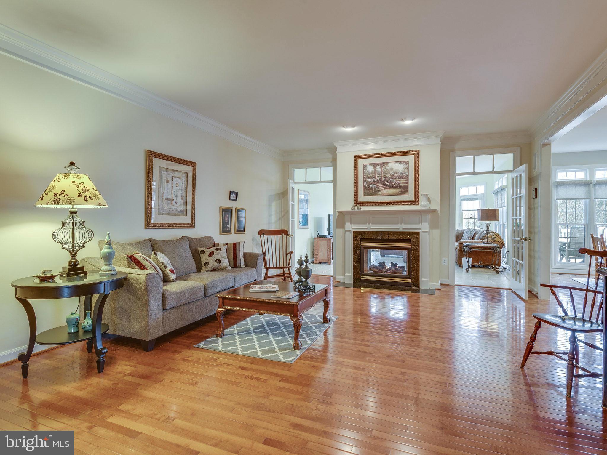 22570 Forest Manor Drive Ashburn, VA 20148 - Photo 7 of 30 a living room with furniture a fireplace and a flat screen tv