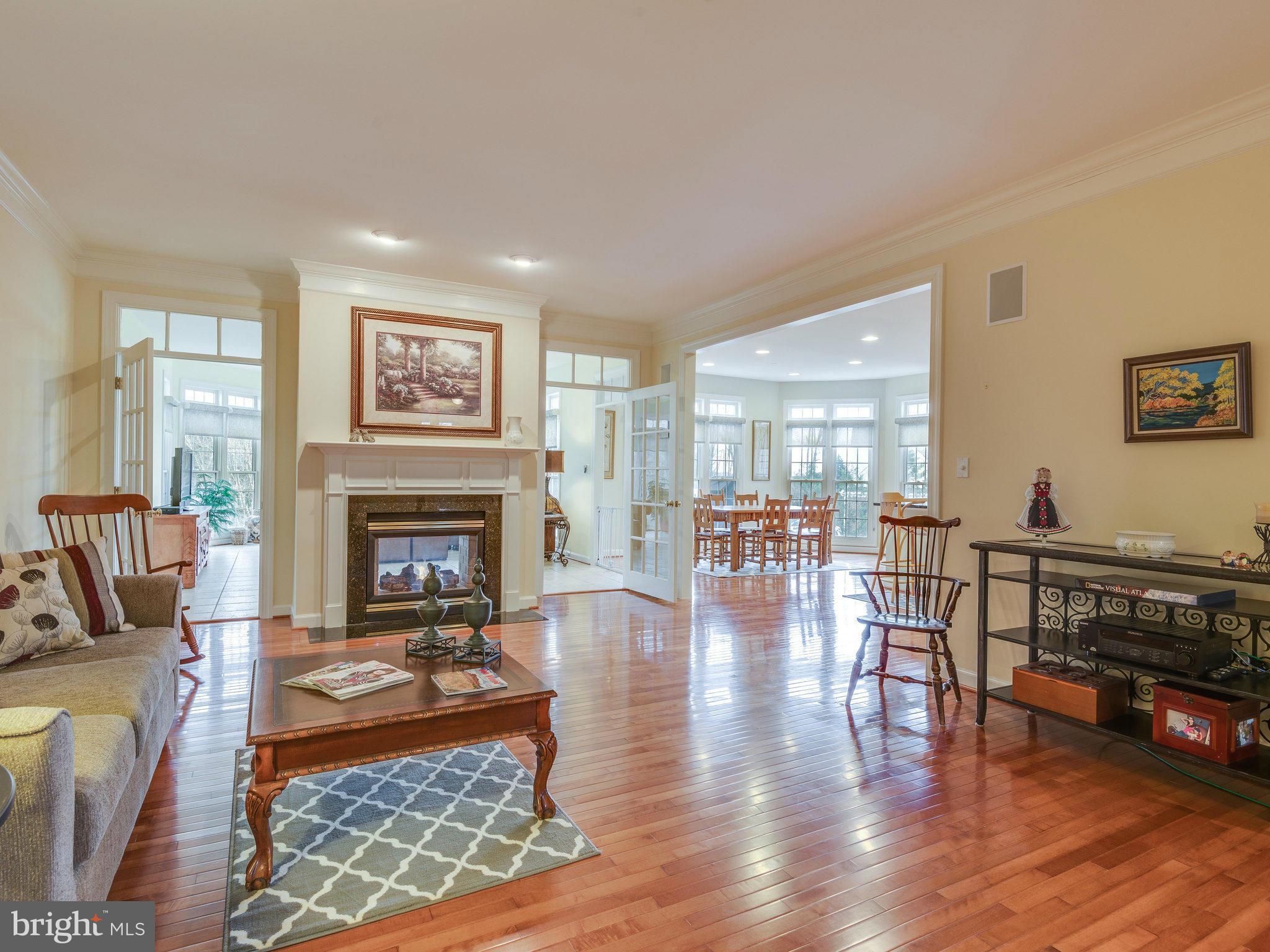 22570 Forest Manor Drive Ashburn, VA 20148 - Photo 8 of 30 a living room with furniture and a fireplace