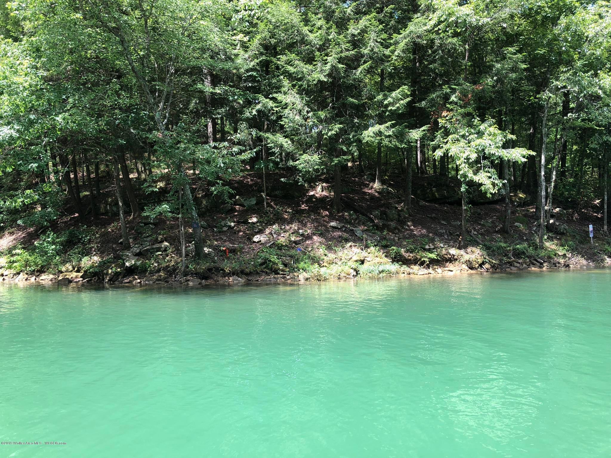 Lot 100 Sipsey Overlook Road Houston, AL 35572 - Photo 12 of 16 Gallery Image 12