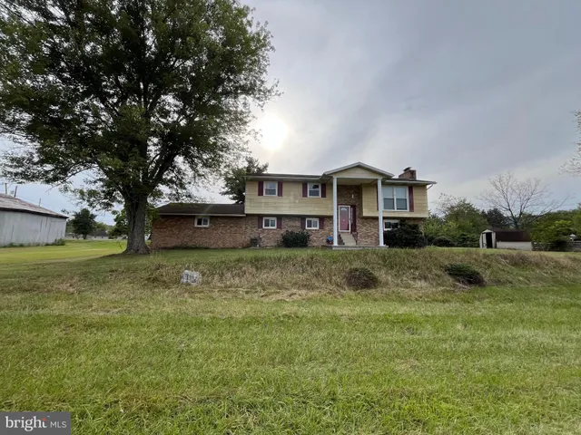 a front view of a house with a yard and large tree