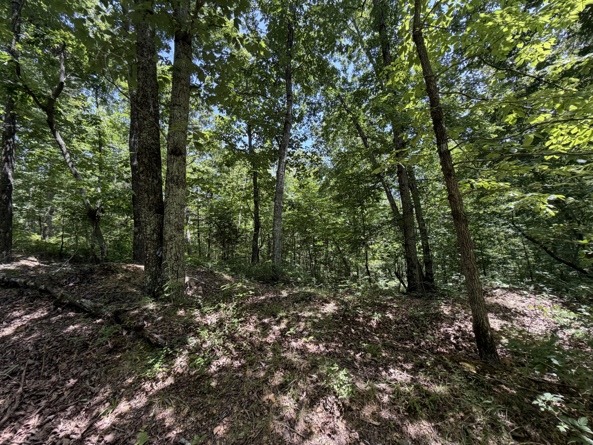 215 Bar Bee Road Hohenwald, TN 38462 - Photo 33 of 51