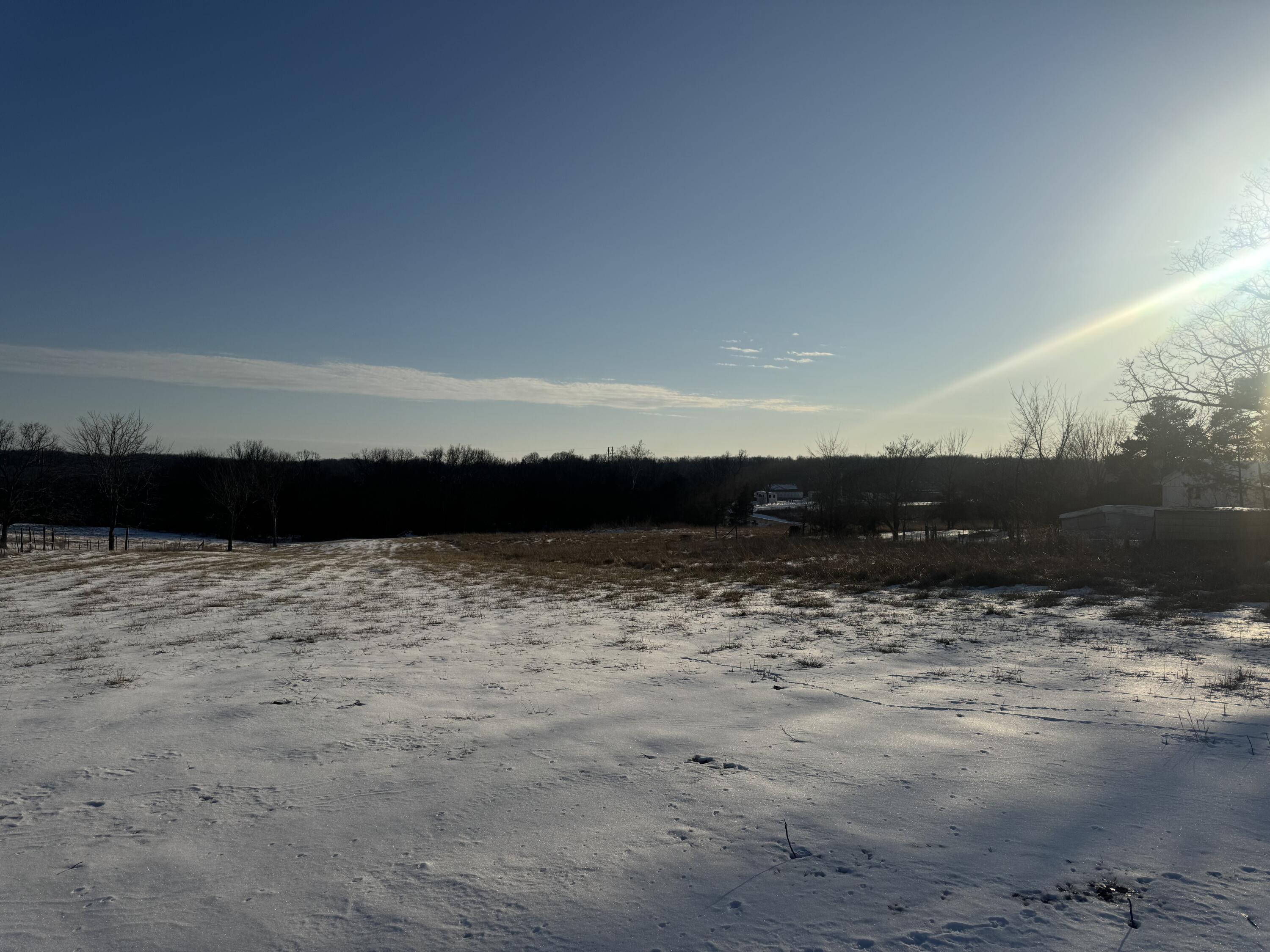 0 Ricky Road Elkland, MO 65644 - Photo 1 of 1 IMG_9969