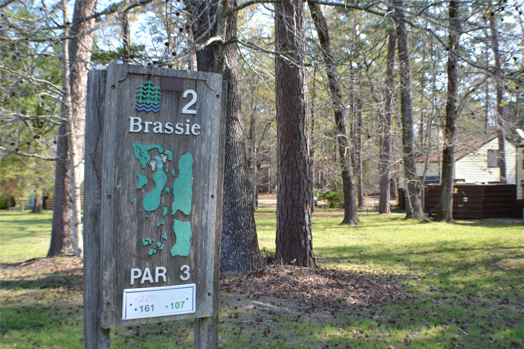 30 Putters Point West Point Blank, TX 77364 - Photo 17 of 20 Home is situated just off the 2nd hole