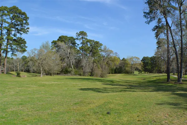 $1,200 | 30 Putters Point West, Point Blank, TX 77364