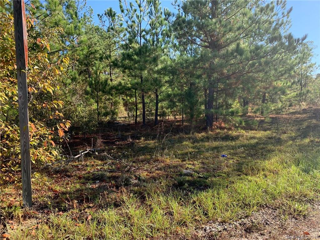 0 South Ned Williams Road Kershaw, SC 29067 - Photo 2 of 2 Gallery Image 2