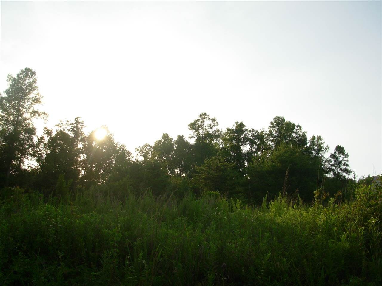 878 Laurel Bluff Road Kingston, TN 37763 - Photo 12 of 14 a view of a lush green space