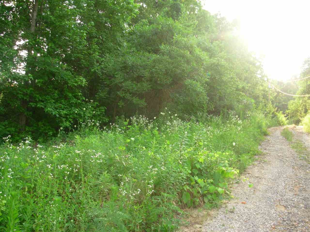 878 Laurel Bluff Road Kingston, TN 37763 - Photo 5 of 14 a view of a lush green forest with lawn chairs