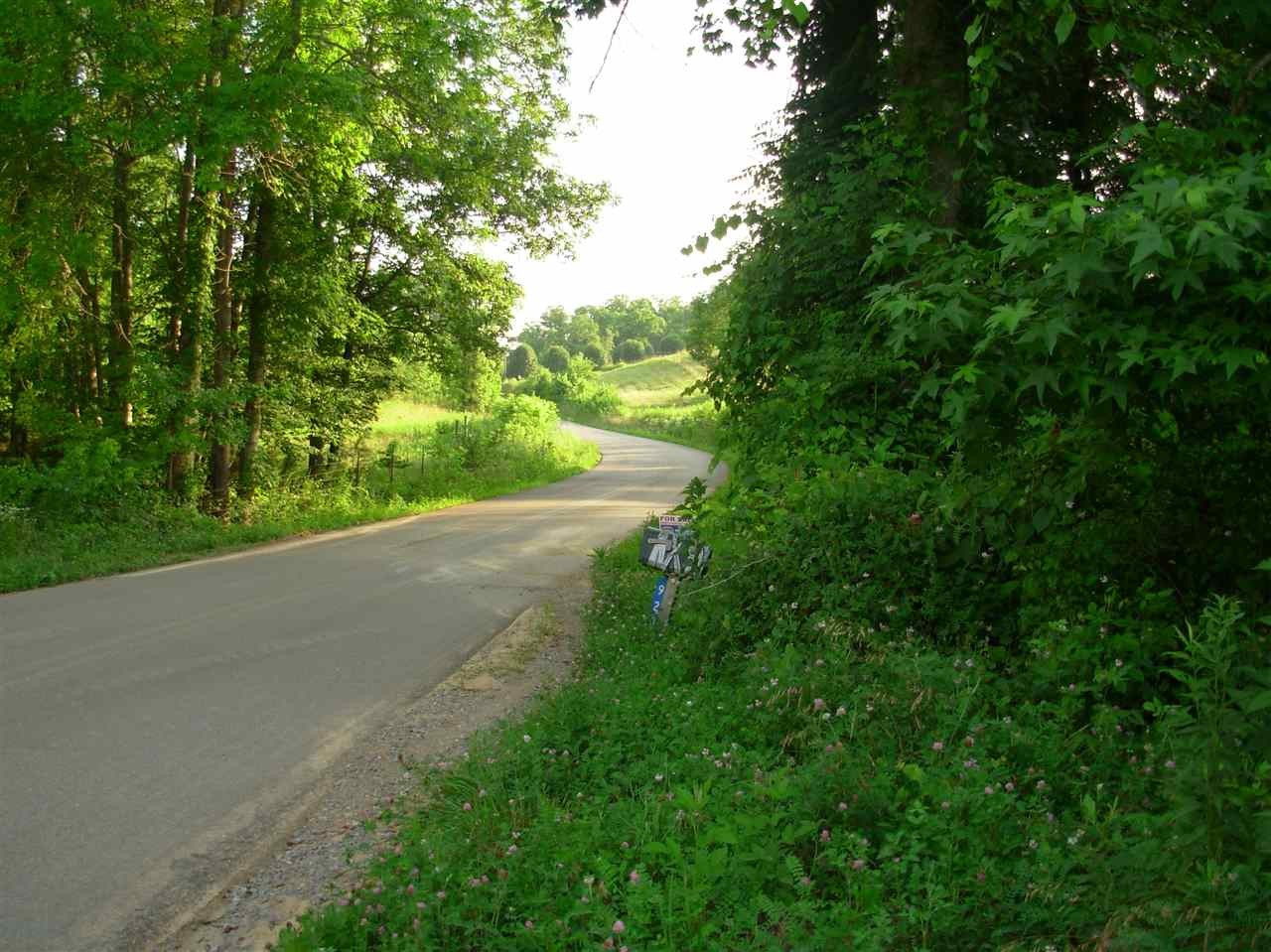878 Laurel Bluff Road Kingston, TN 37763 - Photo 10 of 14 a view of a yard with a tree