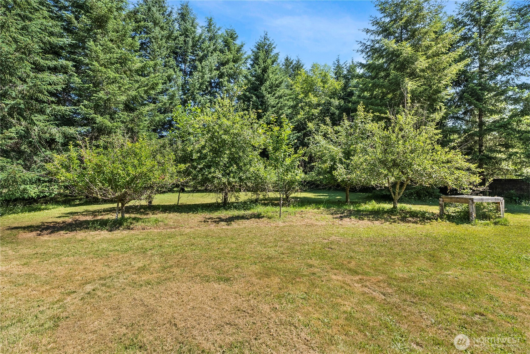 223 Porter Creek Road Elma, WA 98541 - Photo 31 of 40