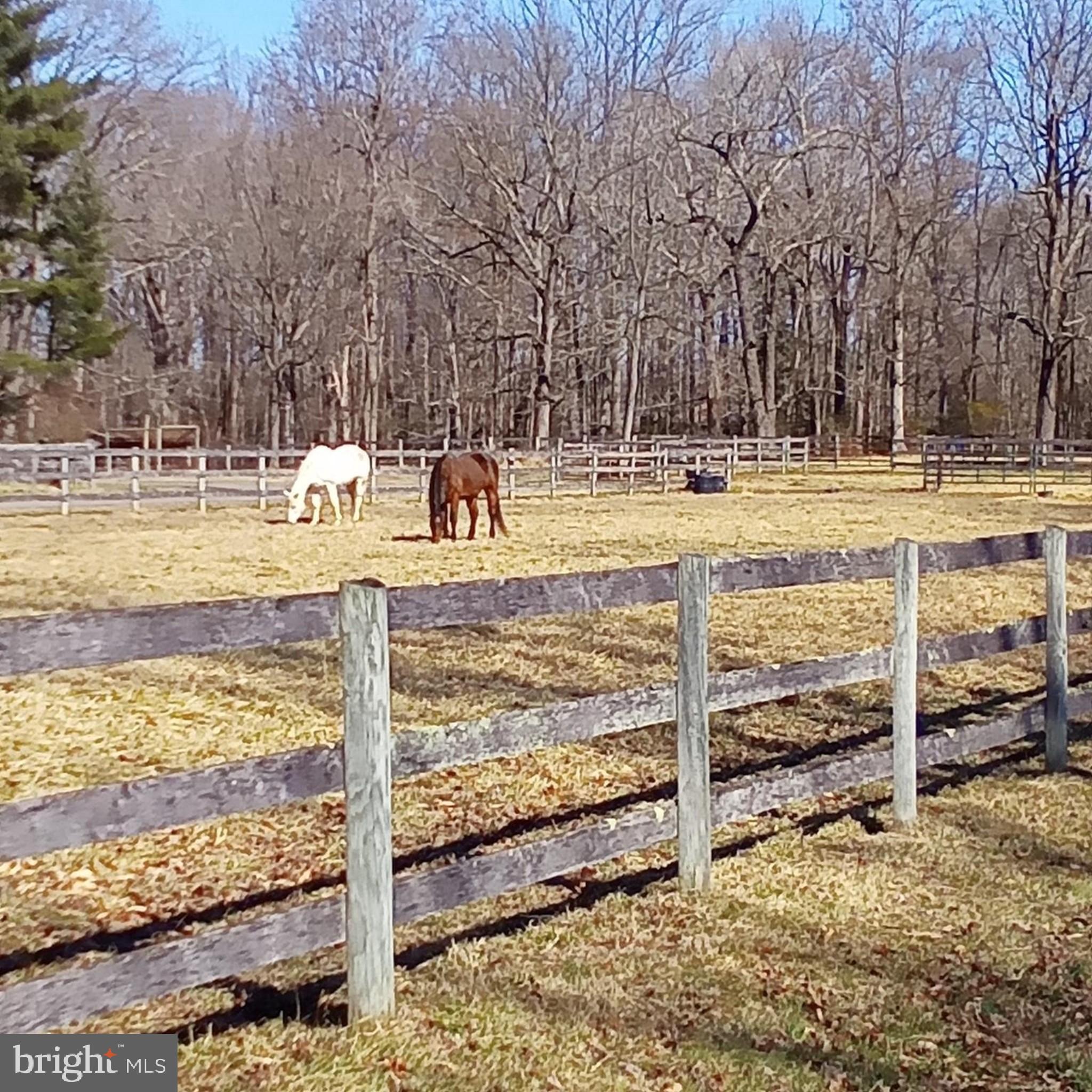 16601 Candy Hill Road Upper Marlboro, MD 20772 - Photo 50 of 55 a view of a yard with wooden fence