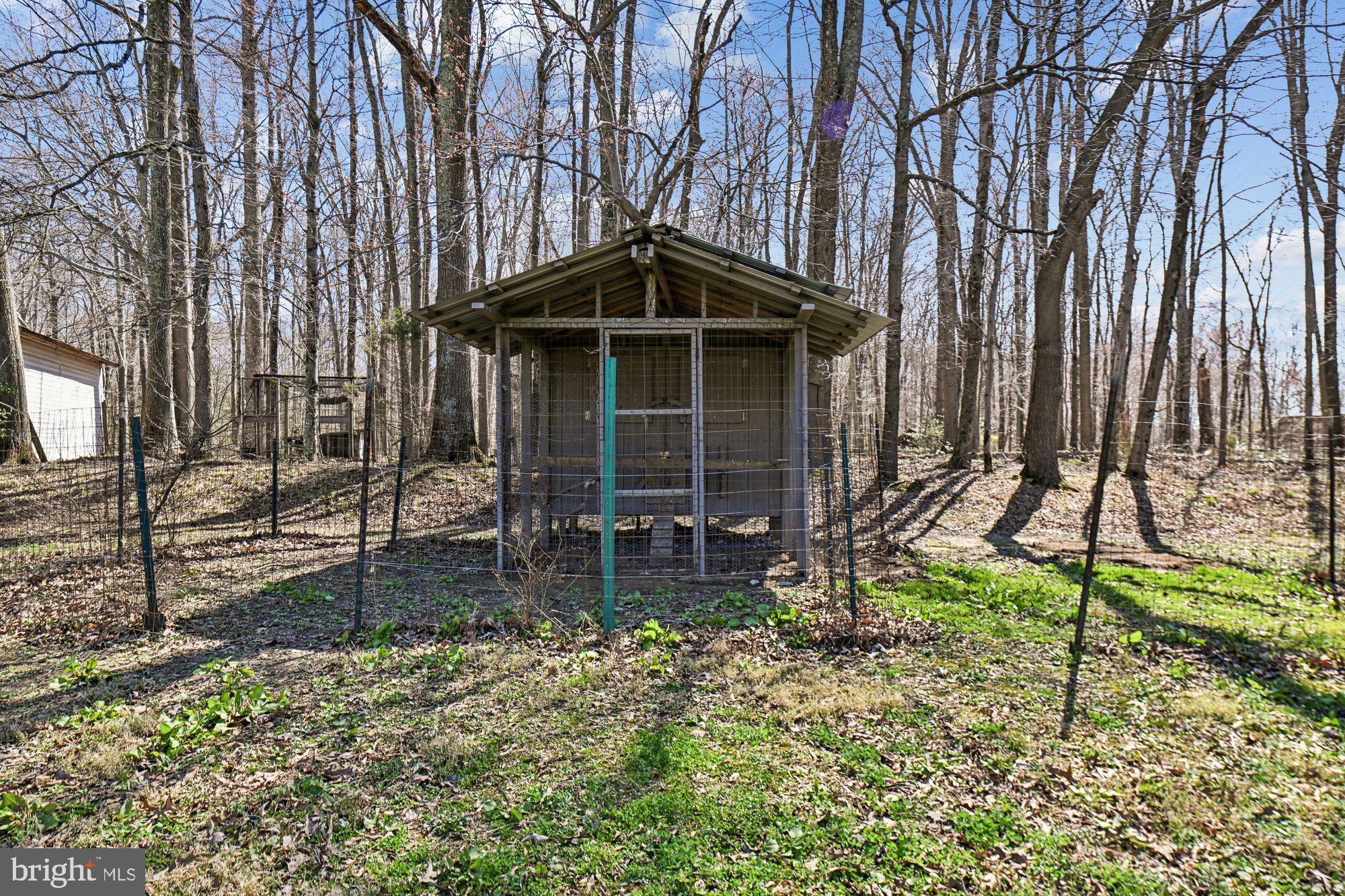 16601 Candy Hill Road Upper Marlboro, MD 20772 - Photo 52 of 62 Shed