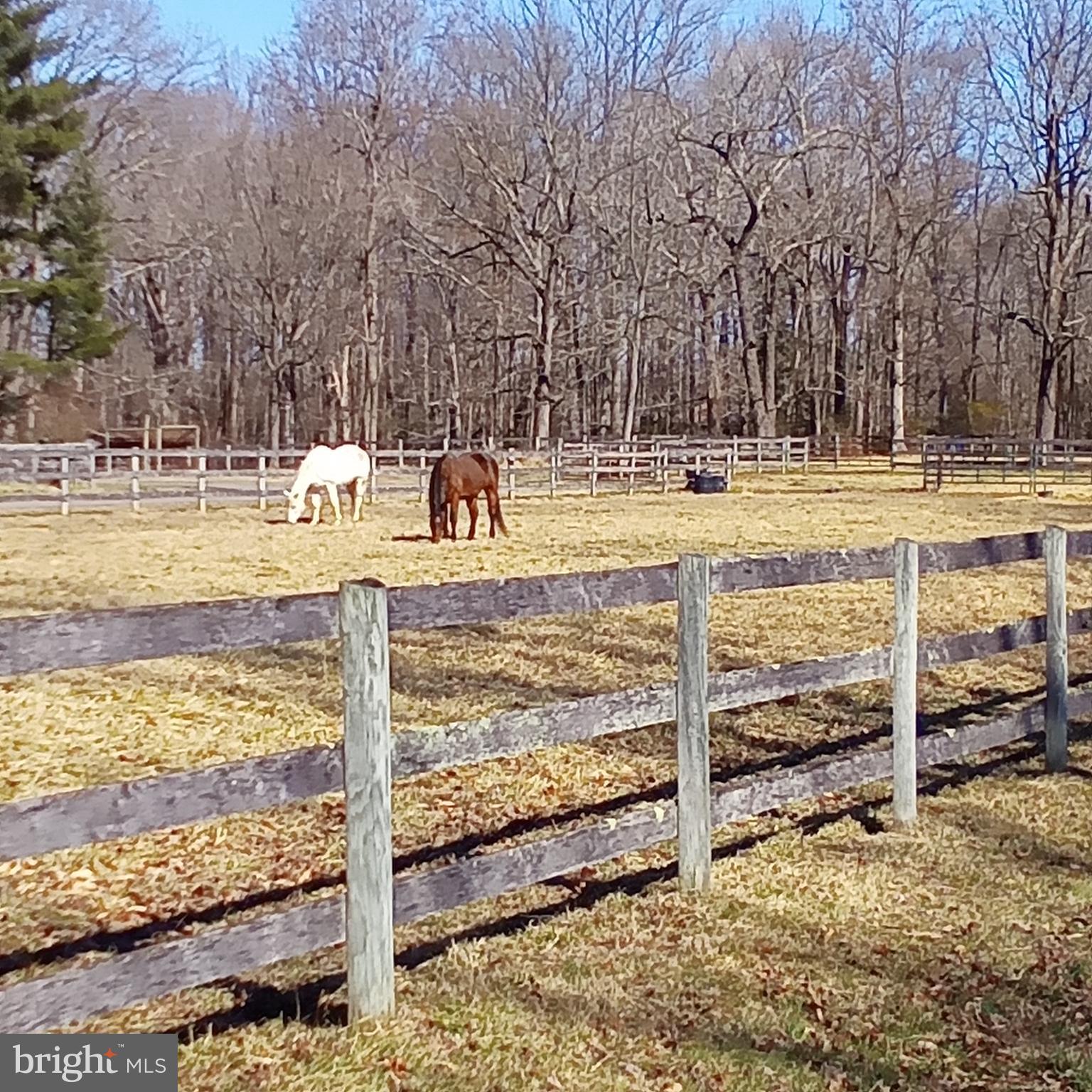 16601 Candy Hill Road Upper Marlboro, MD 20772 - Photo 55 of 62