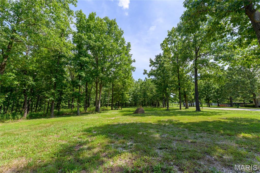 13974 Cherry Drive Plato, MO 65552 - Photo 4 of 78