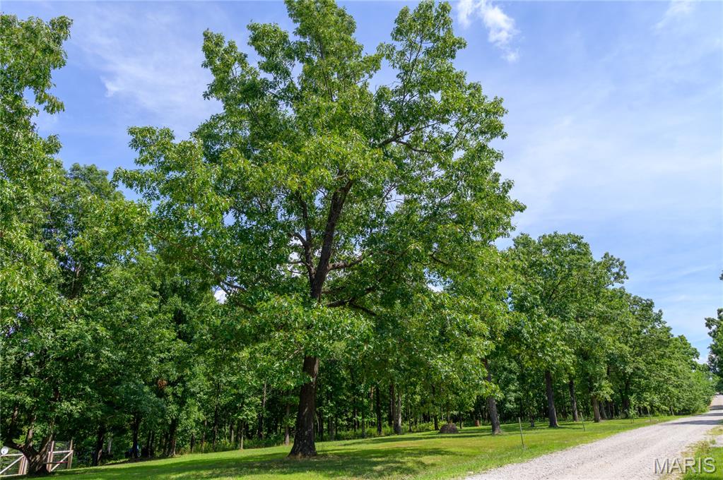 13974 Cherry Drive Plato, MO 65552 - Photo 71 of 78