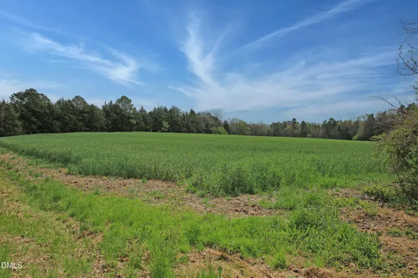 a view of a grassy field with trees