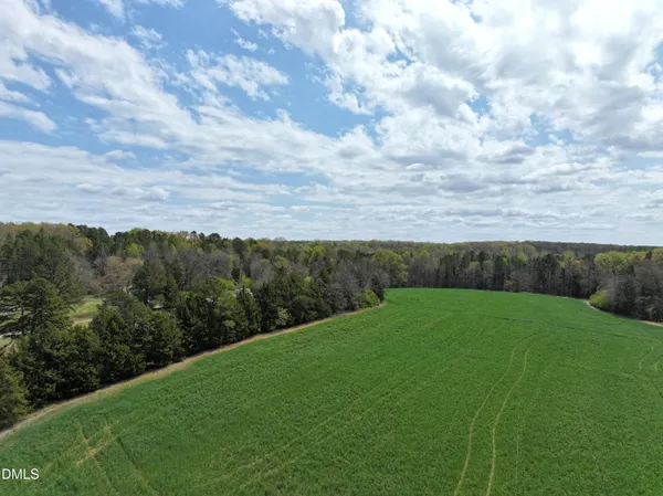 a view of a yard with a large tree