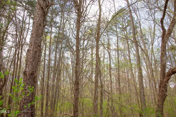 $345,000 | 0 Tatum Road, Roxboro, NC 27574