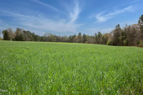 a view of field with lush green forest
