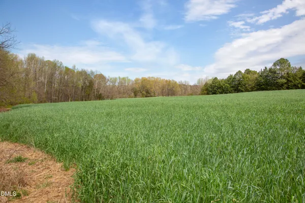 a view of an outdoor space and a yard