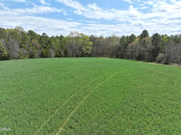 a view of a big yard with large trees